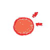 9.gif